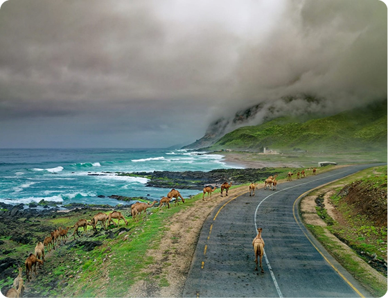 Salalah Tour Packages